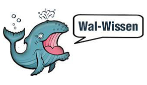 Wal mit Sprechblase: Wal-Wissen
