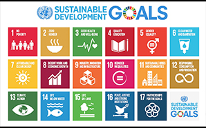 Ziele für nachhaltige Entwicklung