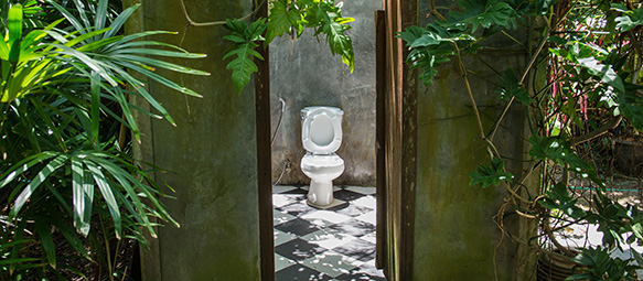 Teaser Toilette in der Natur
