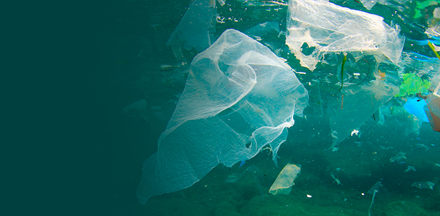 Plastikmüll und Mikroplastik im Wasserkreislauf