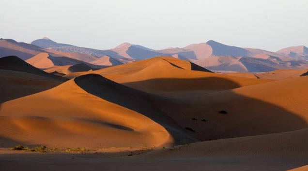 Ökosystem Wüste